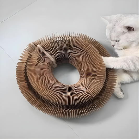 Interactive Cat Scratch Toy