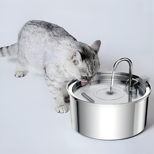Premium stainless steel cat water fountain providing fresh and clean hydration for your pet's health